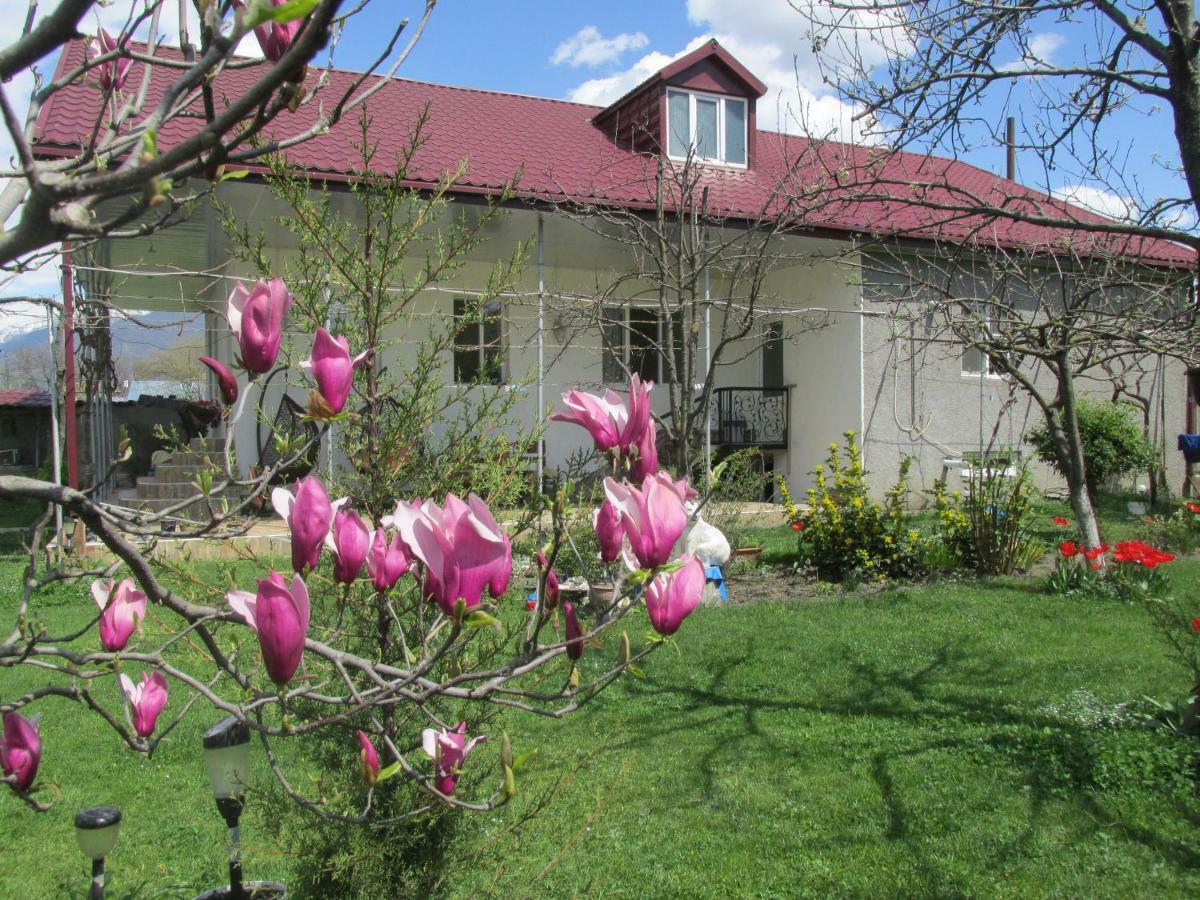 Guest House Melissa Duisi 外观 照片